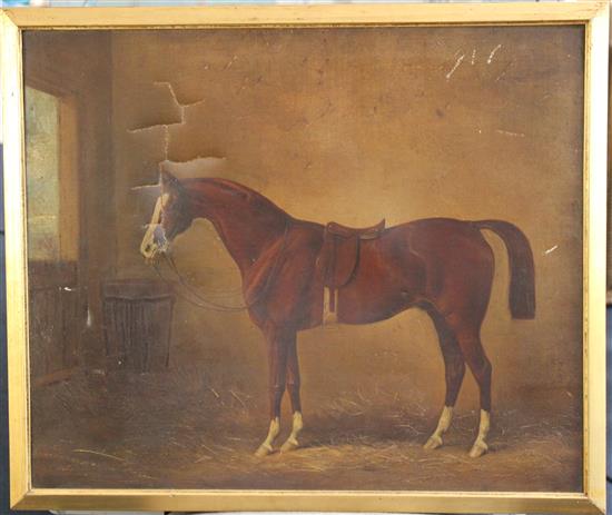 Henry Barraud (1811-1874) Portrait of the racehorse Nicholon by Orlando-Muscouileu Dam by Camel, foaled 1857, sold to Napoleon III, 2